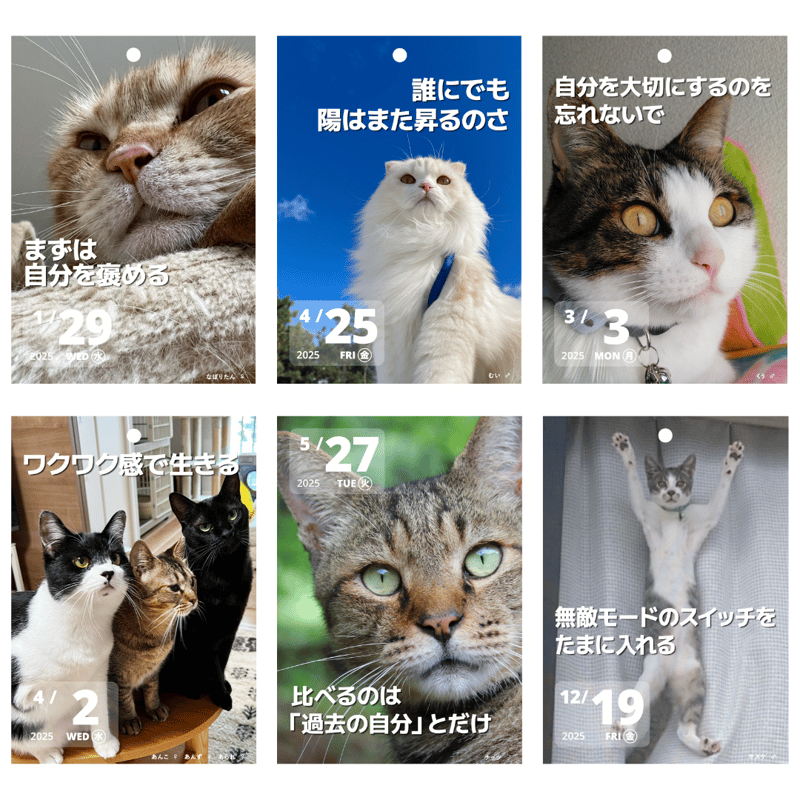 値下げ⭐️日めくりニャンコ！2025年(卓上日めくりカレンダー猫版) 台座付き Amazon | 日めくりニャンコ！2025年(卓上日めくりカレンダー猫版