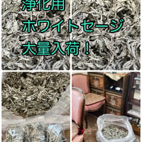 浄化用　ホワイトセージ