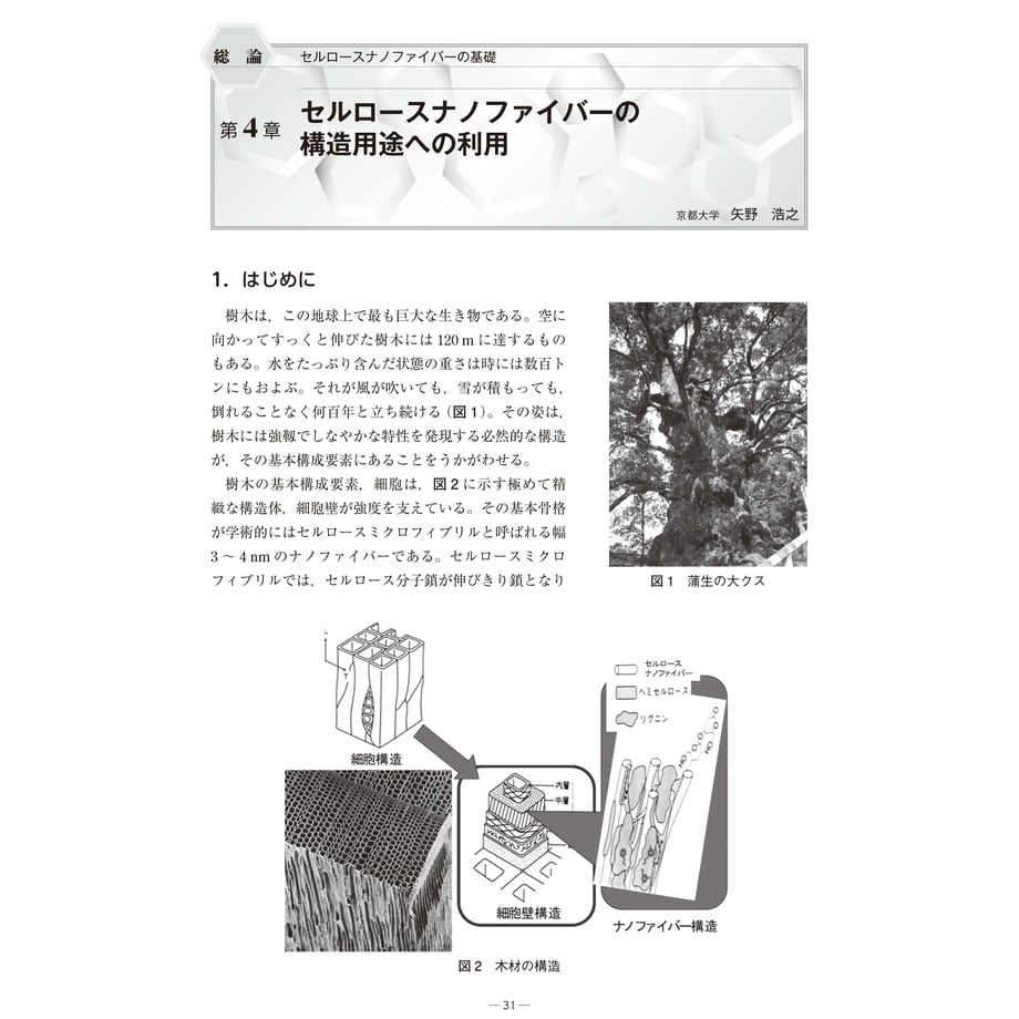 6366720a211ac3133d6f346f
