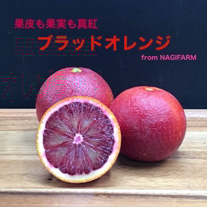 小さめサイズ】真紅色が美しい ブラッドオレンジ | 国産オランジェット