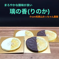 【小さめサイズ】まろやかな酸味が心地よい　りのか