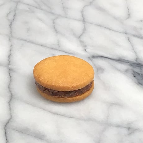 【お任せ6個セット】かんきつショコラバターサンド