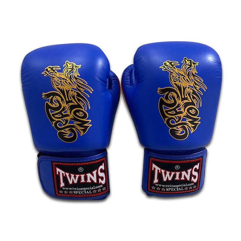 CW-BGVL01-WH/BU 即日 | TWINS JAPAN