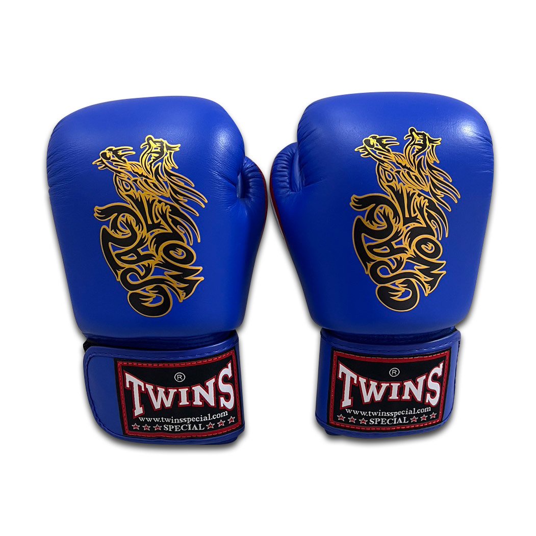 CW-BGVL01-WH/BU 即日 | TWINS JAPAN