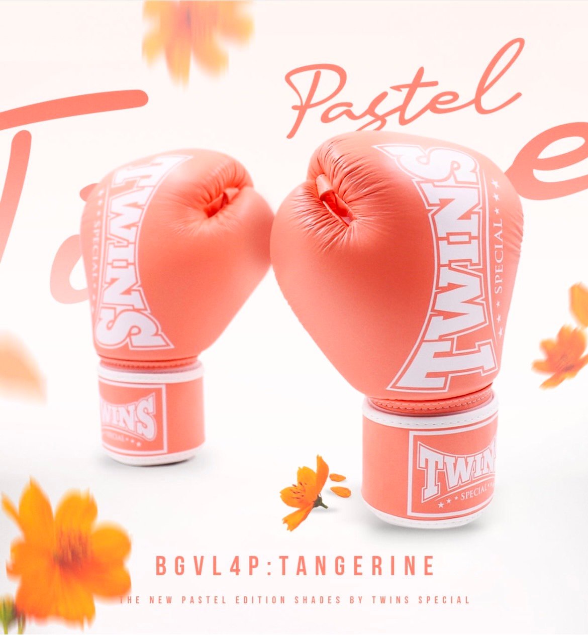 BGVL4P TANGERIN | TWINS JAPAN