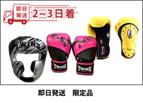 TWINS JAPAN