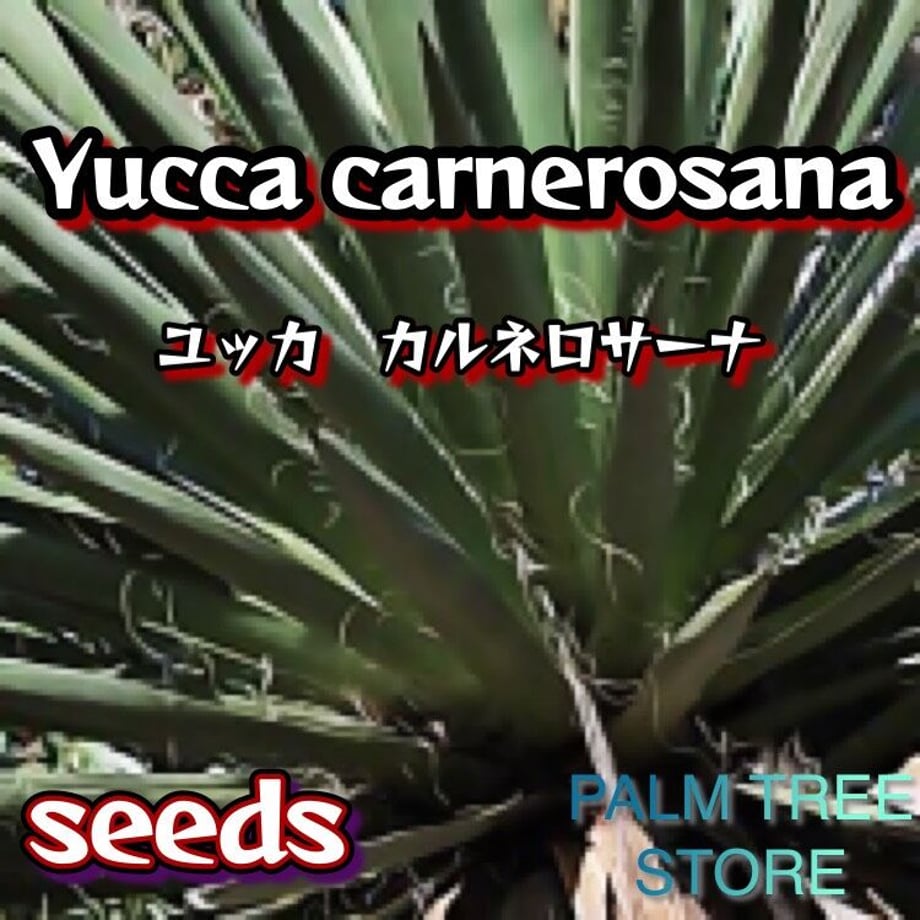 6440f0522d3496002a1e53ef