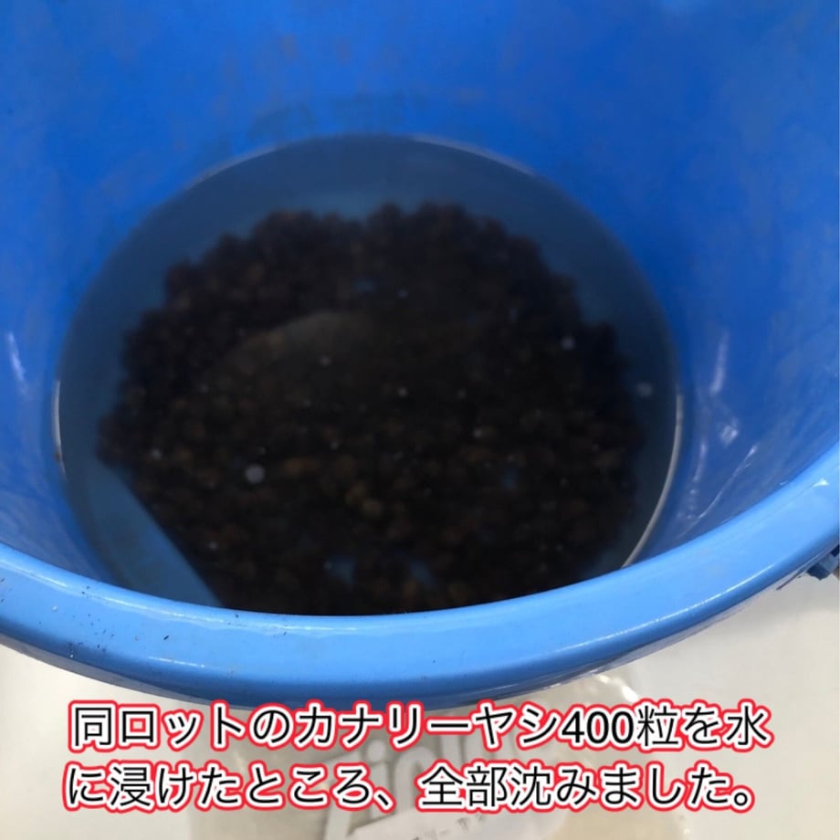6440e374057a68002a678844