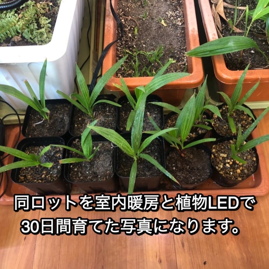 6407e5f989a8cd2fd06cb332