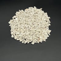 パラオ産サンゴ砂 Lサイズ | PALM TREE & SEED STORE