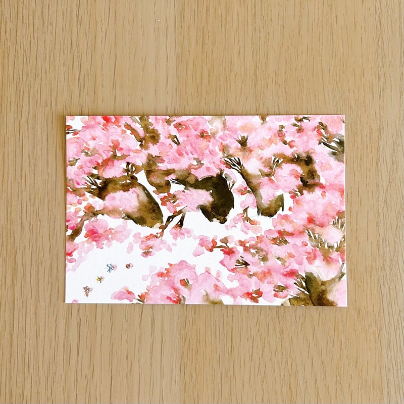 ポストカード * きくちちき（さくらのふね） | 花麦文庫