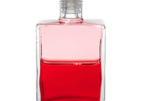 イクイリブリアムボトル　B８４　５０ml