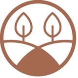 kokochi Online