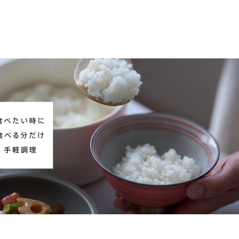 67d104783b493852668f1869