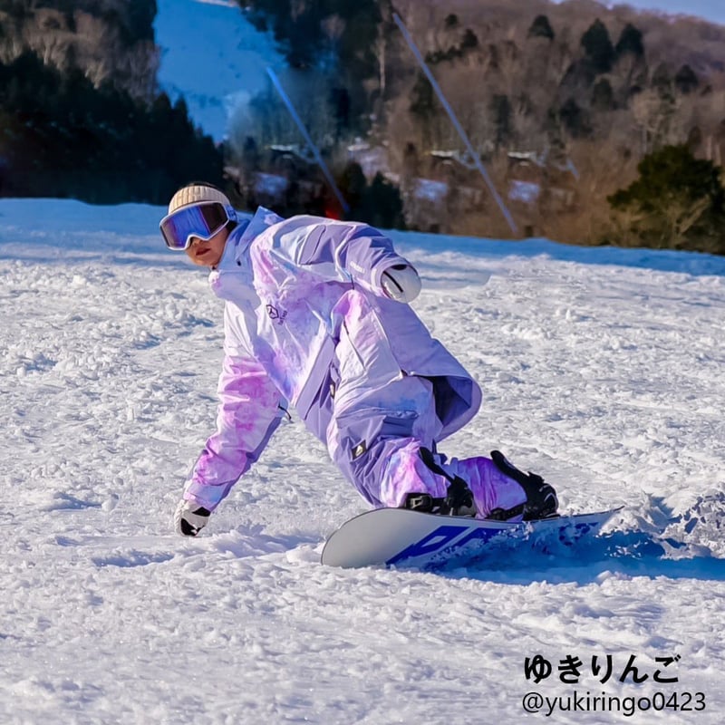 Patagonia】h2No RECCO スキースノボーパンツ S-280(Patagonia Patagonia】h2No RECCO スキースノボーパンツ S-280(Patagonia