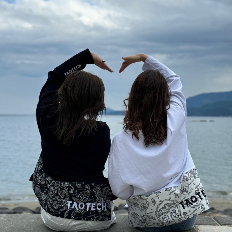 ロングスリーブTシャツ(ペイズリー切り替え) | TaoTech