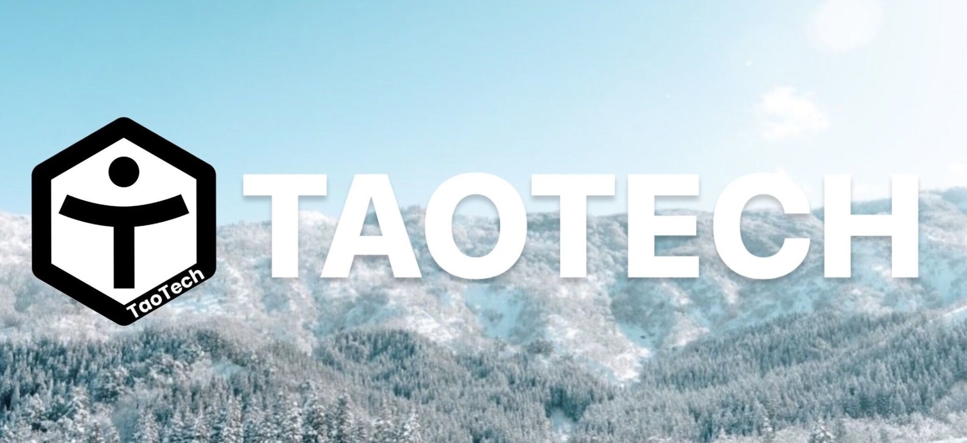 RECT DISC ラントリグローブ | TaoTech