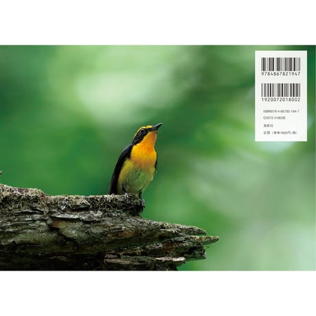 Birds of Nagano 吉村健二 野鳥写真集