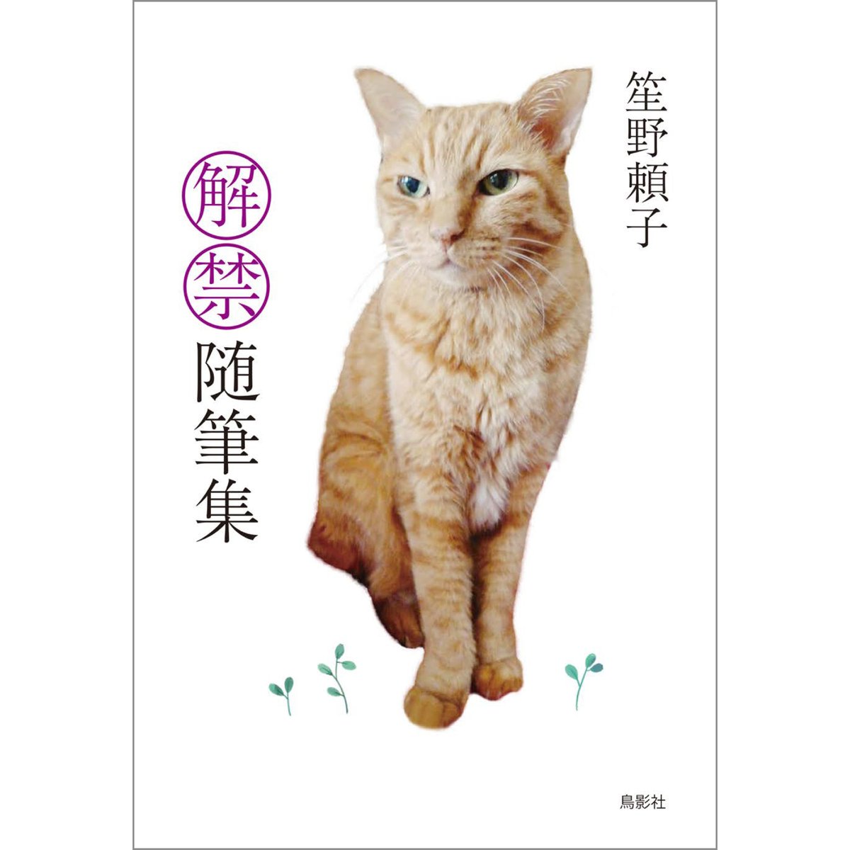 文学・小説 ND Amazon.co.jp: 5A73 : 詠坂 雄二: 本