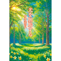 光を胚胎する　中澤美喜子【著】