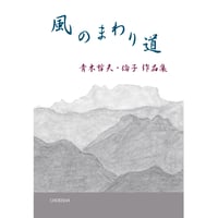 新訳 金瓶梅 全3巻セット 田中智行【訳】 | 鳥影社ウェブストア