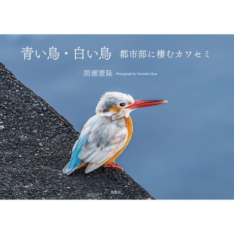 鳥影社ウェブストア