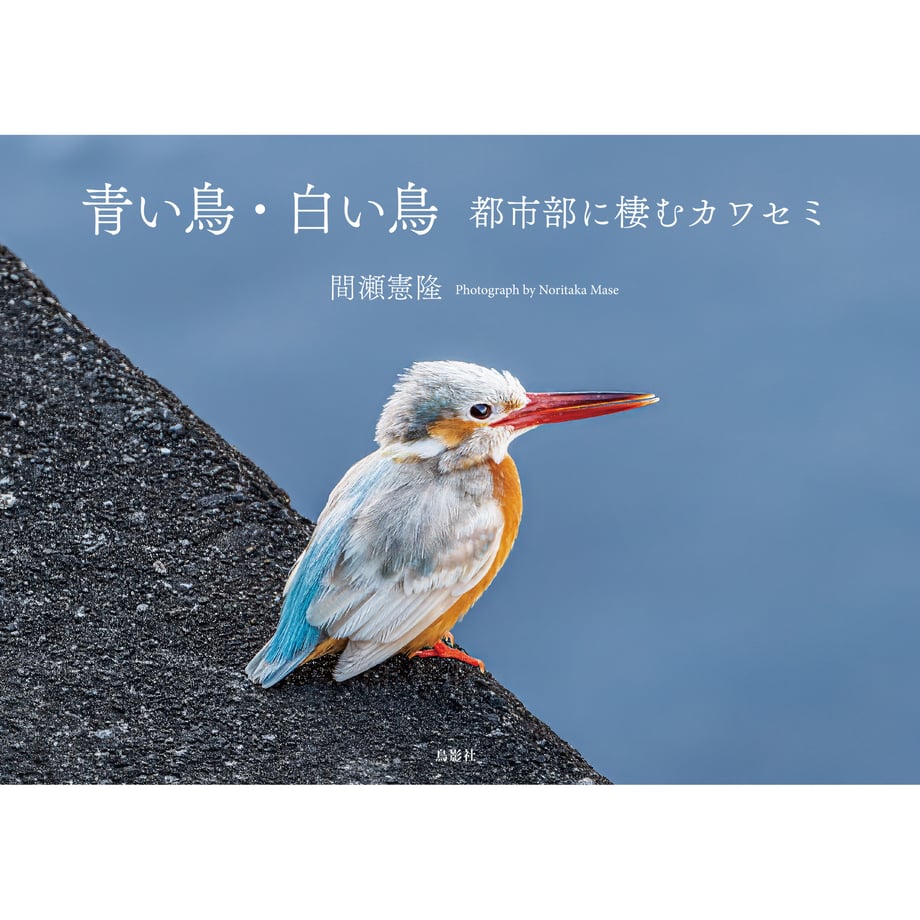 698d4085bf7b8f1702e25323