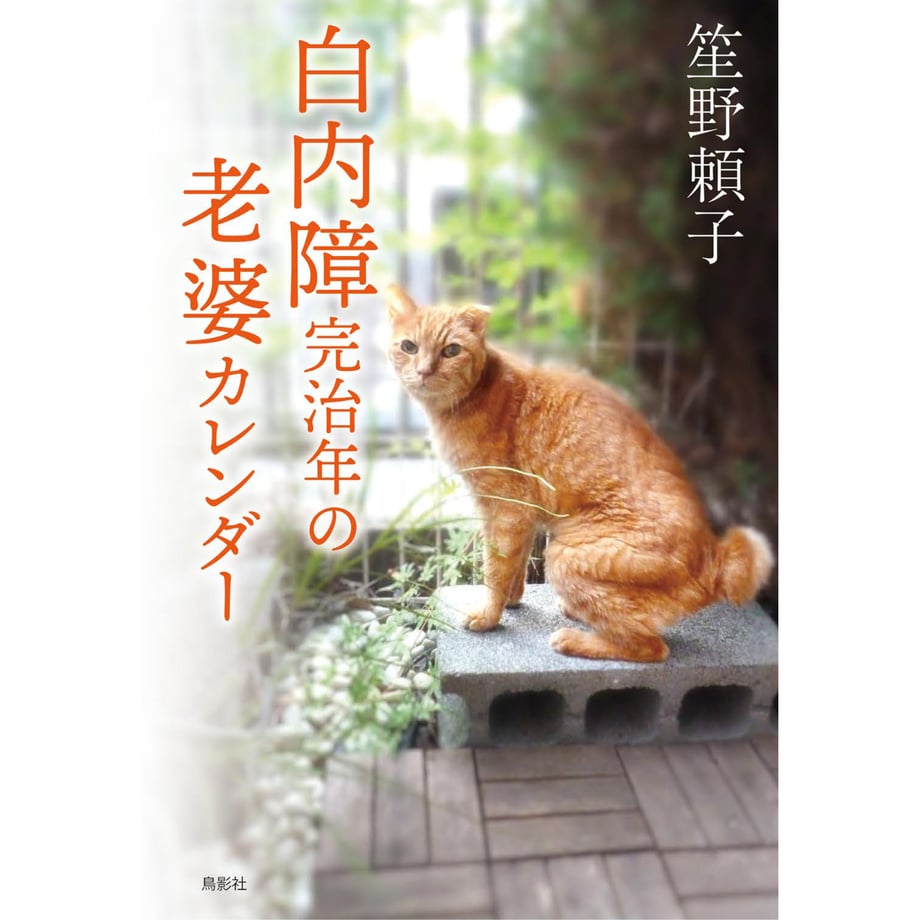 682ed88d2ce5f6f9974c5b37