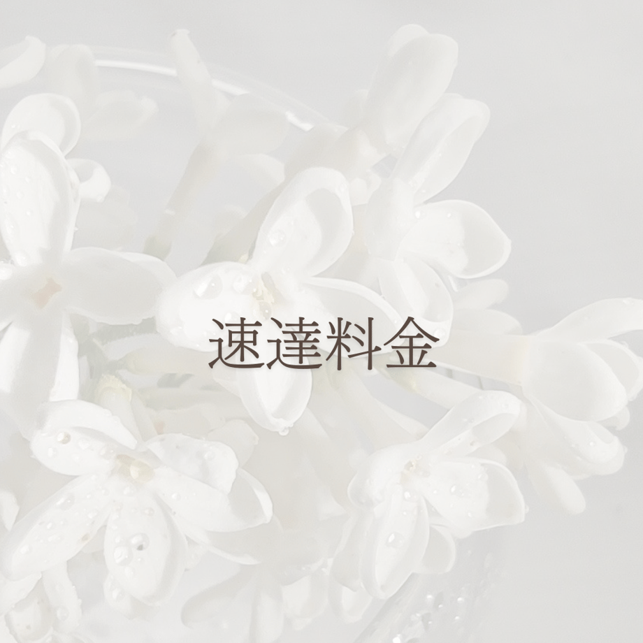 66816c1cb14f581b013db24f