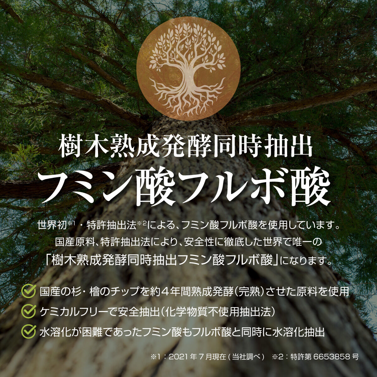 HS-C100 Flower 植物活力剤 | 植物活力剤・HS-C100 STORE HS-C100 Flower 植物活力剤 | 植物活力剤・HS-C100 STORE