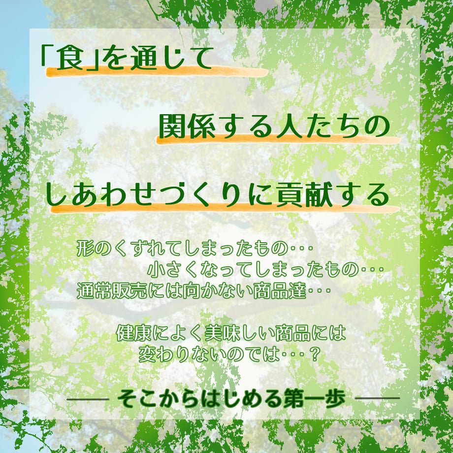 655d7d93e7c5ab195caa9566