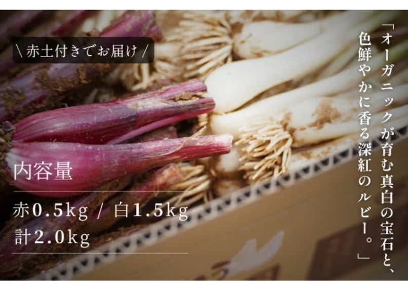 種子島産　らっきょう 有機JAS認証「たねがしまらっきょう」赤白彩り2kg｜オーガニックが育む
