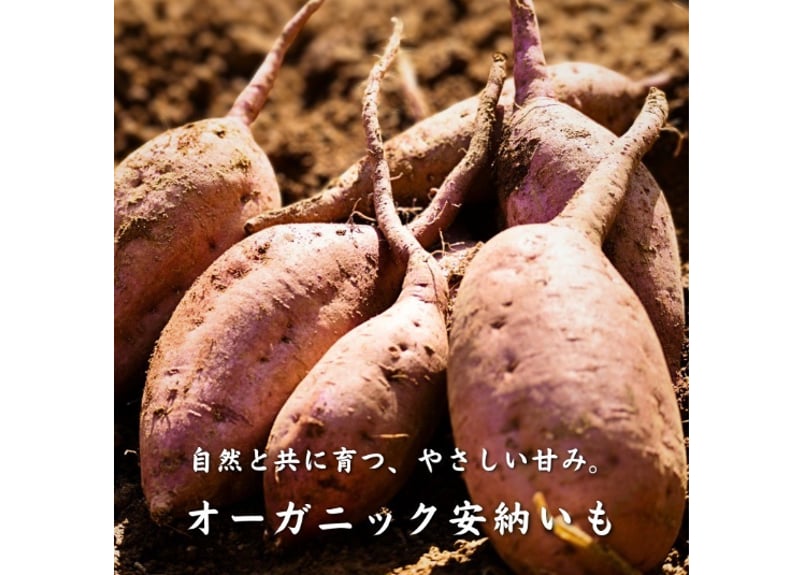 有機JAS認証「種子島安納いも」5kg｜オーガニックの恵みが育む、黄金の