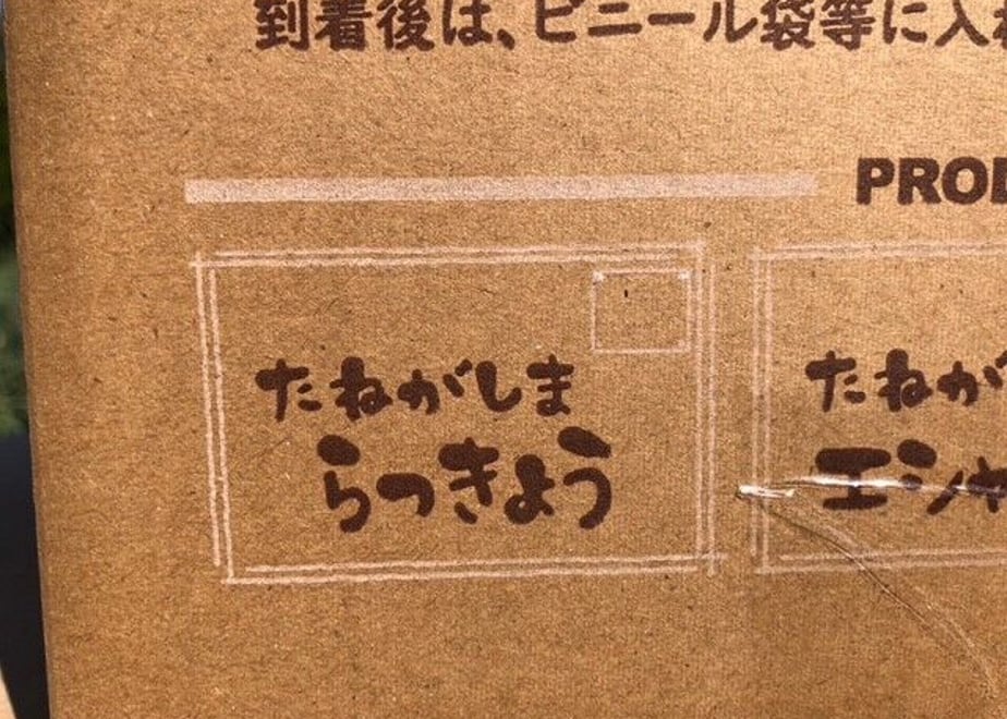 64073d558ac3945d974b4a99