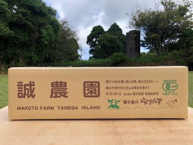 安納芋20Kg農薬，化学肥料不使用 送料無料！！無農薬・種子島産安納芋SSサイズ5kg 無化学肥料栽培