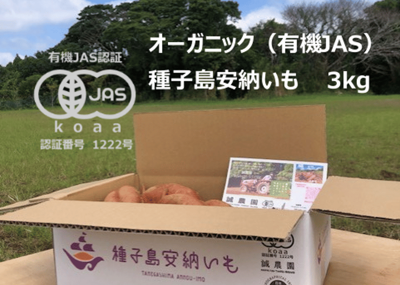 種子島安納いも 2Sサイズ MIX 10kg 新 デザイン食品・飲料・酒 - 種子島安納いも 2Sサイズ MIX 10kg