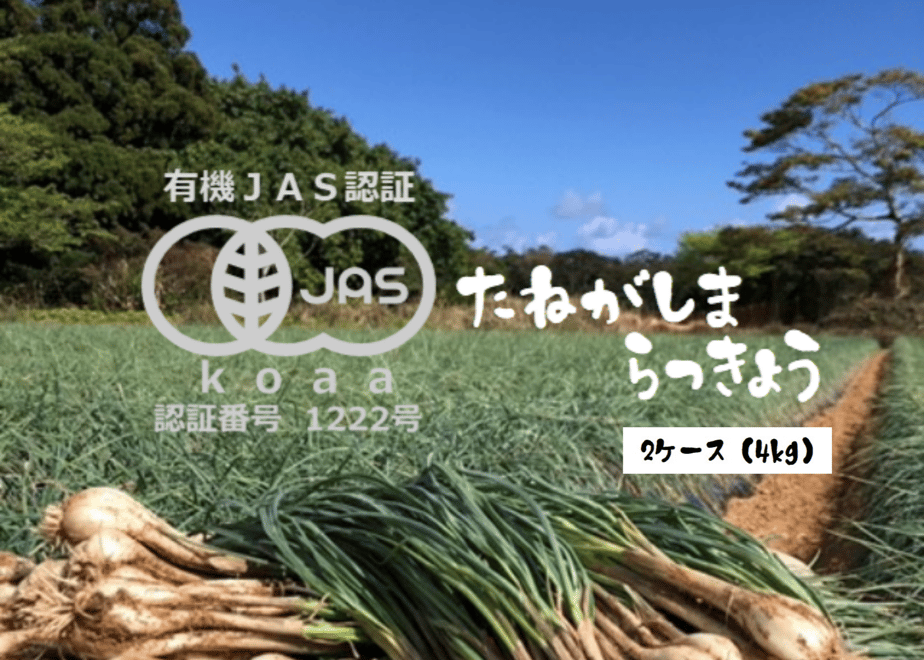 6415793edc901c0c0f9c5749