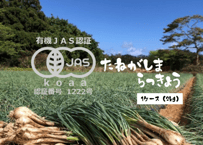 有機JAS認証「たねがしまらっきょう」4kg｜オーガニックの赤土が育む