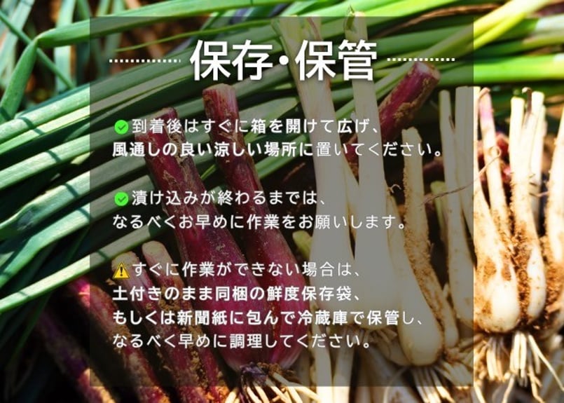 有機JAS認証「たねがしまらっきょう」赤白彩り2kg｜オーガニックが育む