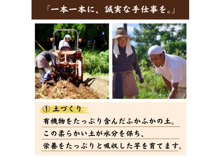 有機JAS認証「種子島安納いも」5kg｜オーガニックの恵みが育む、黄金の
