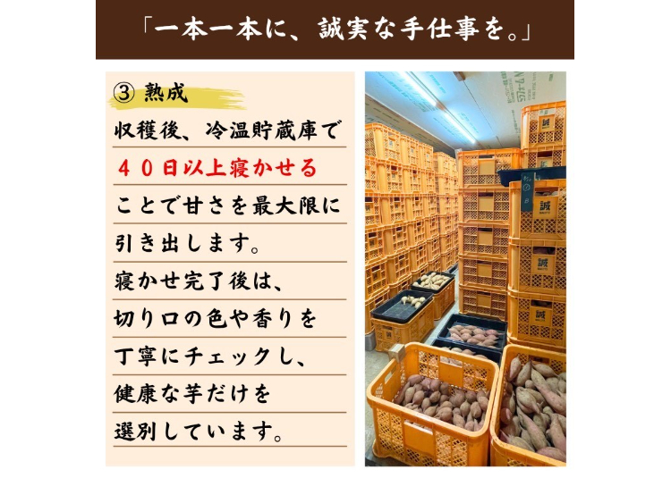 有機JAS認証「種子島安納いも」Sサイズ｜オーガニックが育む、小さく