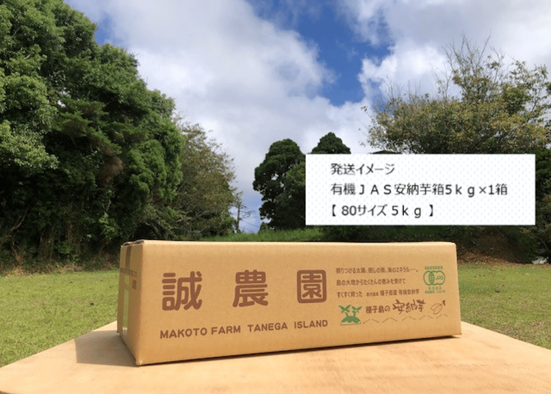 種子島産安納芋Mサイズ20kg 5 種子島産安納芋Mサイズ20kg 5