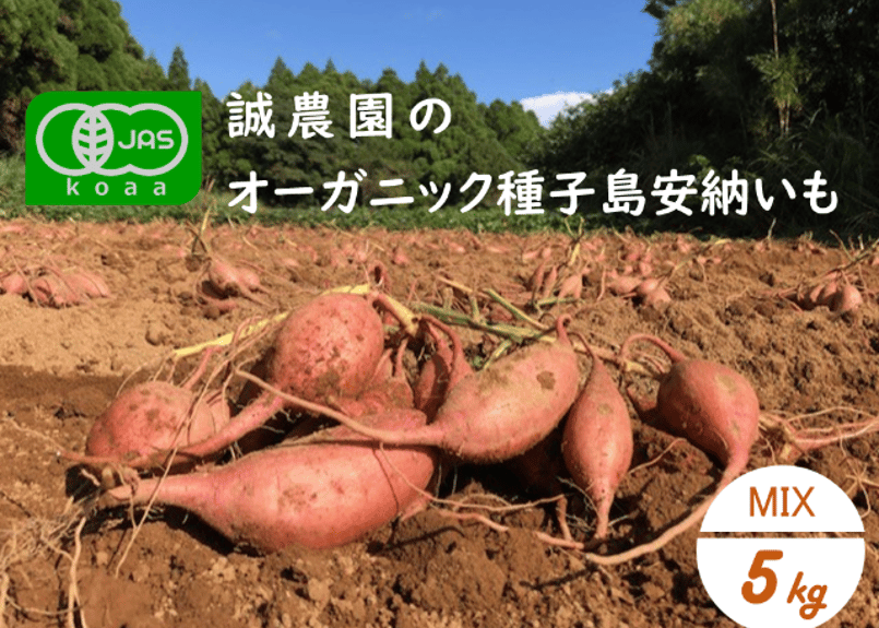 オーガニック種子島安納いも MIXサイズ5kg｜有機認証 | 誠農園