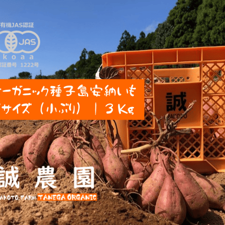 オーガニック種子島安納いも Sサイズ３ｋｇ｜有機認証