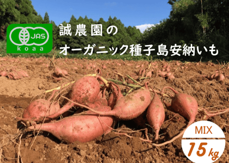 CATEGORY 安納いも | 誠農園オーガニックストア｜ ORGANIC STORE