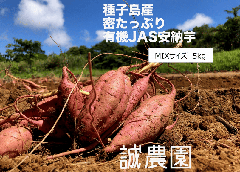 オーガニック種子島安納いも MIXサイズ5kg｜有機認証 | 誠農園