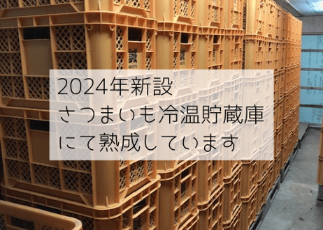 オーガニック種子島安納いも MIXサイズ３ｋｇ｜有機認証