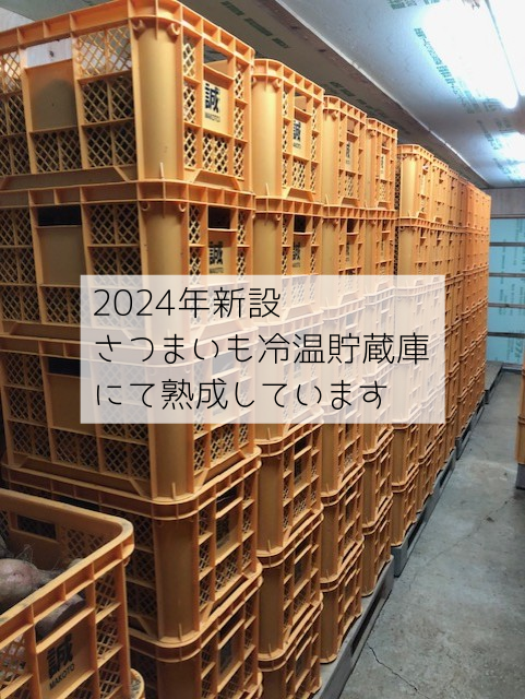 さつまいも　安納芋　ミックス　13キロ さつまいも 安納芋 ミックス 13キロ