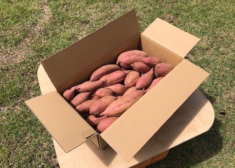 種子島安納いもＢ品　20kg 絶品】種子島産安納芋 B品(M~2Lサイズ) 20kg(箱別)｜aimo農園