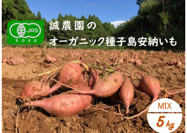 有機JAS認証「種子島安納いも」5kg｜オーガニックの恵みが育む、黄金の